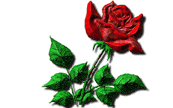 rose love you gif